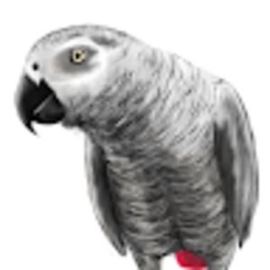 Meet your Posher, Shauna